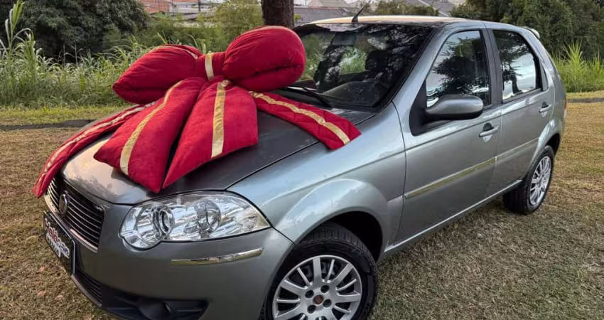 FIAT PALIO ELX FLEX 2010