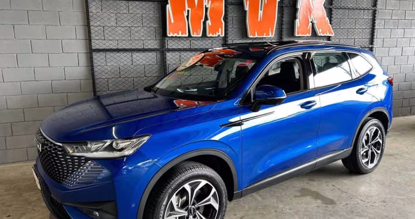 Haval H6 Premium Phev Aut Hibrido 2024