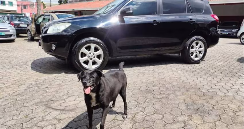 TOYOTA RAV4 4X2 2011