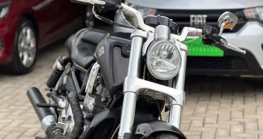 V-ROD 1250cc MUSCLE VRSCF