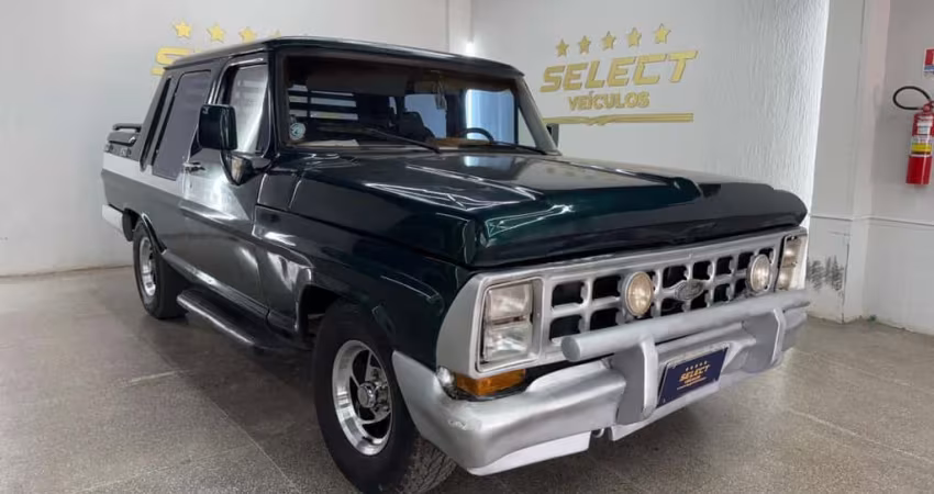 FORD F-1000 SULAMERICANO MONACO 1990