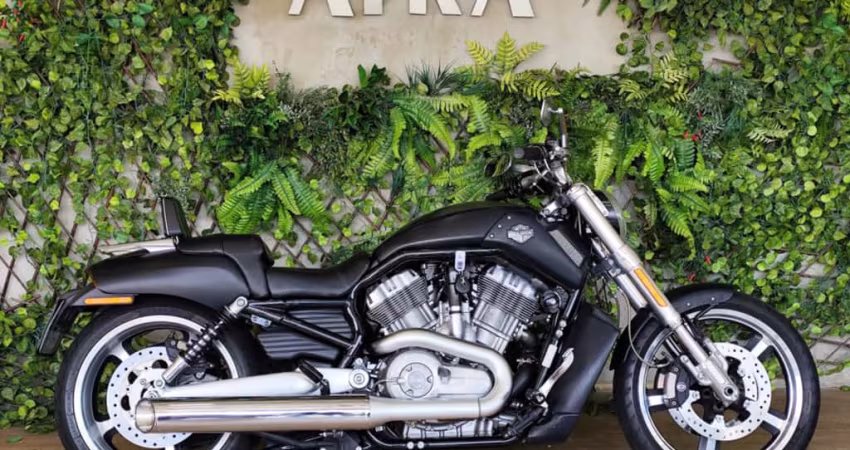 HARLEY-DAVIDSON V-ROD 1250cc MUSCLE VRSCF