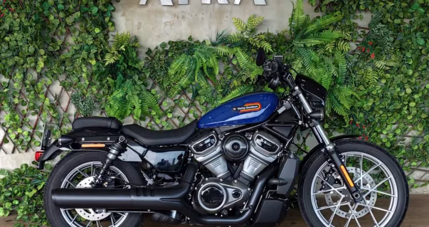 HARLEY-DAVIDSON NIGHTSTER SPECIAL