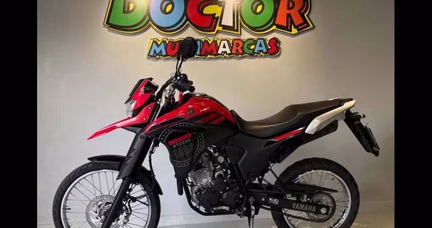 YAMAHA LANDER XTZ 250 ABS 2023