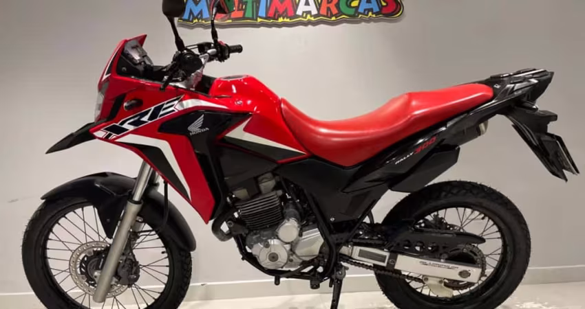 HONDA XRE 300 ABS RALLY 2022