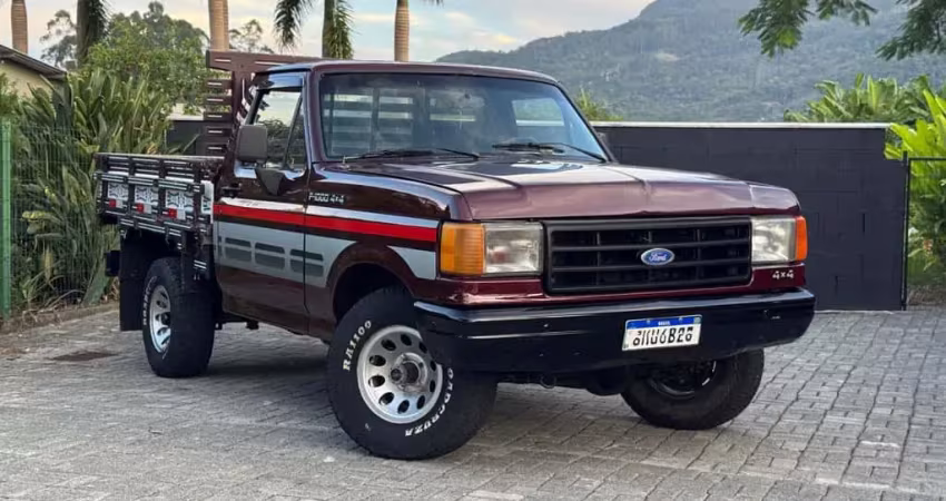 Ford F-1000 F1000 4X4 MWM - Vermelha - 1993/1994