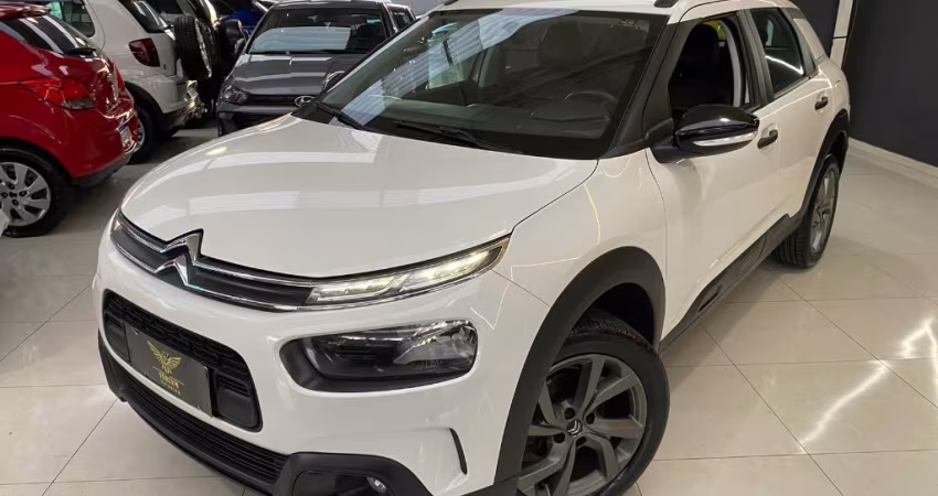 C4 CACTUS FEEL AT 2022