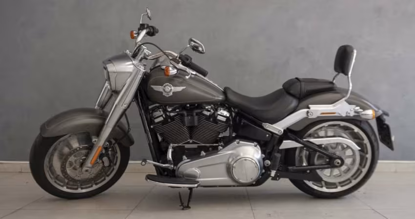 Harley-davidson Fat boy flfb 2019