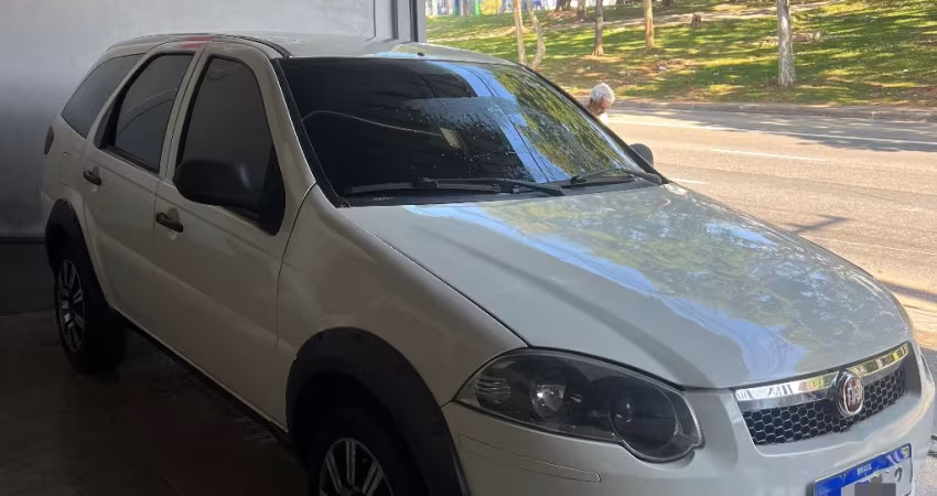 FIAT PALIO WEEKEND TREKKING 1.6 2013 