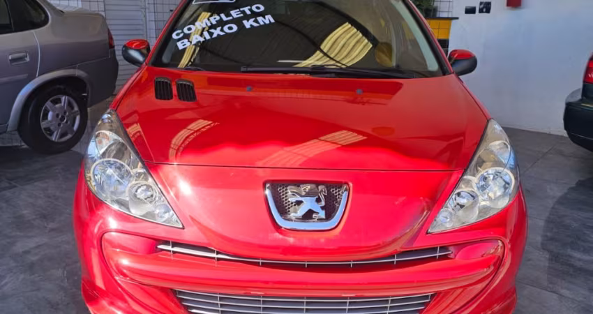 Peugeot 207 1.4 XR 8V FLEX