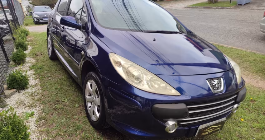 Peugeot 307 completo 