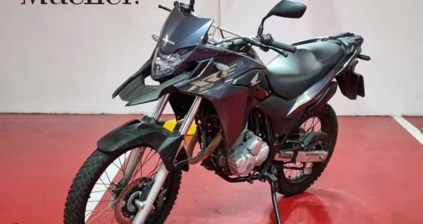 HONDA XRE 300 ABS - 2023 - CINZA