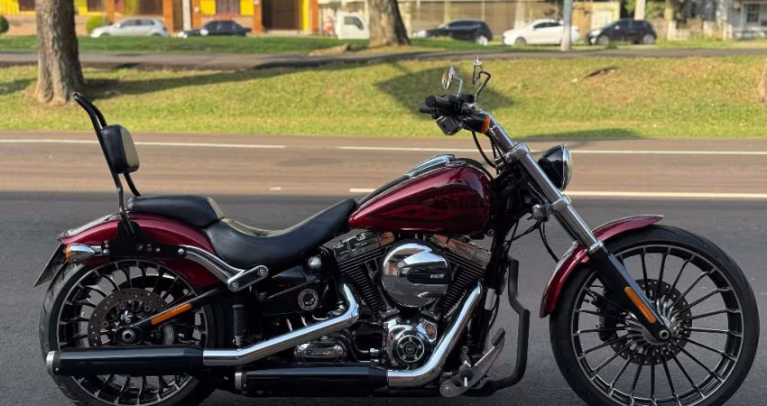 HARLEY DAVIDSON SOFTAIL BREAKOUT