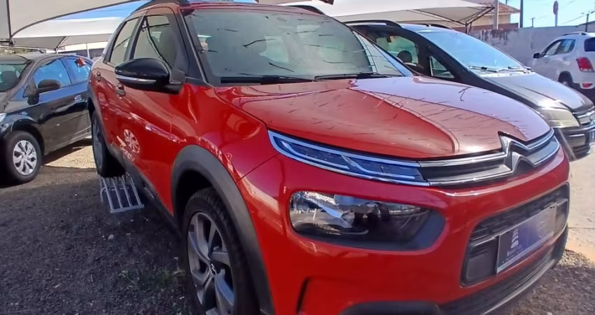 C4 CACTUS 