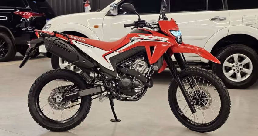 XR 300L TORNADO FLEX