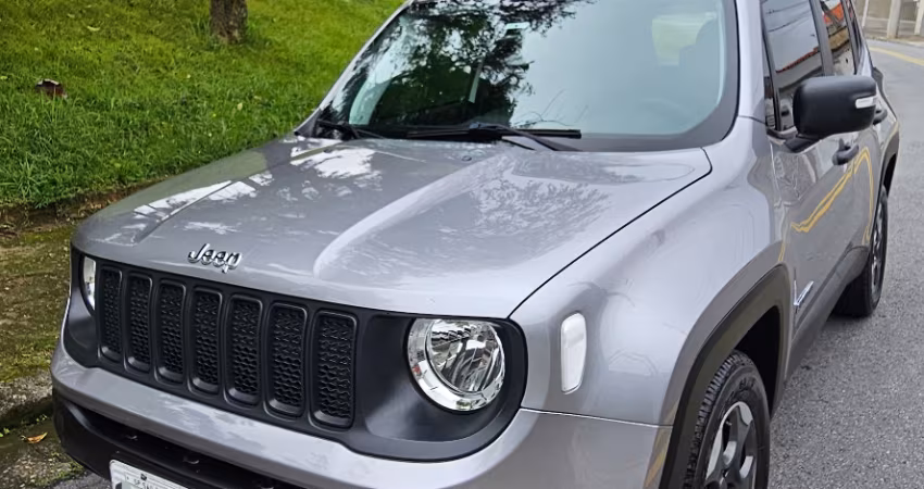 Renegade Sport 1.8 