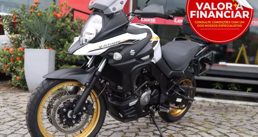 SUZUKI DL 650 V-STROM
