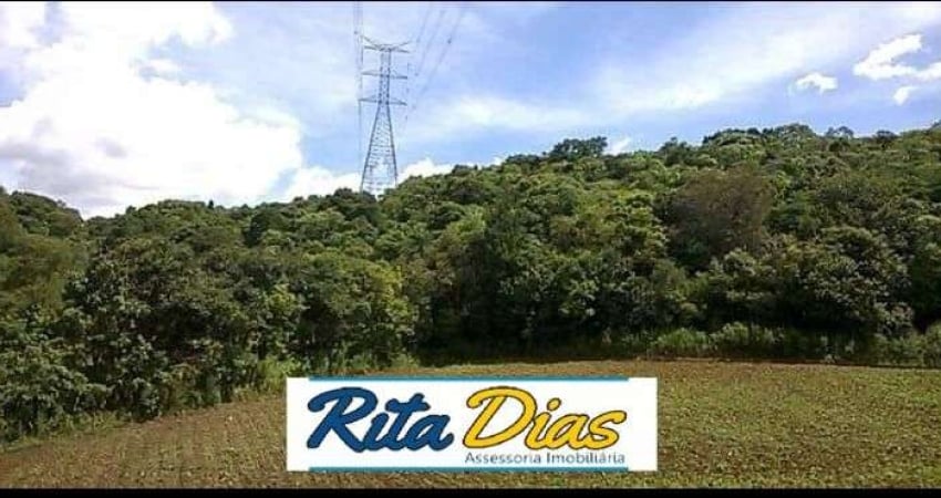 Chácara / sítio com 1 quarto à venda no Centro, Campo Magro 