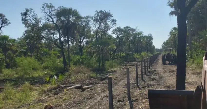 Fazenda formada 140 km de miranda, na região do nabileque, são 8.620 hectares