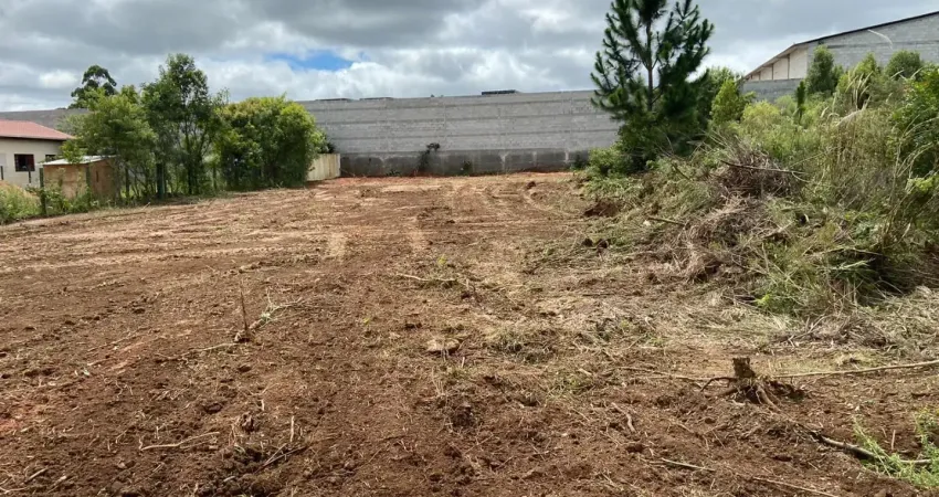 Terreno à venda na Rua Júlio César Setenareski, 1510, Colônia Murici, São José dos Pinhais