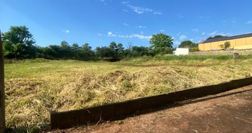 Terreno comercial à venda na Avenida Professor Mário Autuori, City Ribeirão, Ribeirão Preto