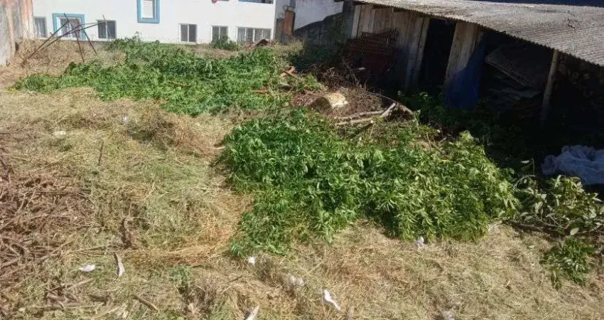 Aluga-se terreno em localização super estratégica: rua abílio de barros, ao lado do nº 22.