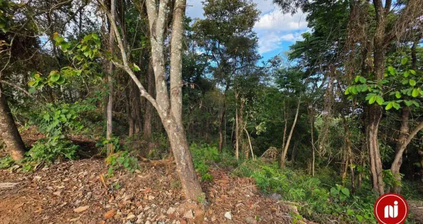 Terreno à venda, 12935 m² por r$ 920.000 - mirante da mata - nova lima/mg