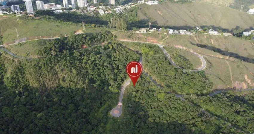 Terreno à venda, 4841 m² por r$ 2.700.000 - vila castela - nova lima/minas gerais