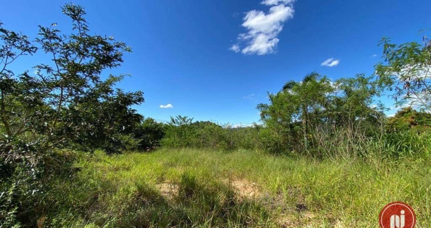 Terreno à venda, 4000 m² por R$ 450.000,00 - Condomínio Quintas do Rio das Águas Claras - Brumadinho/MG
