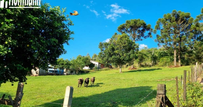 Área de terras - Bairro Floresta - Estância Velha