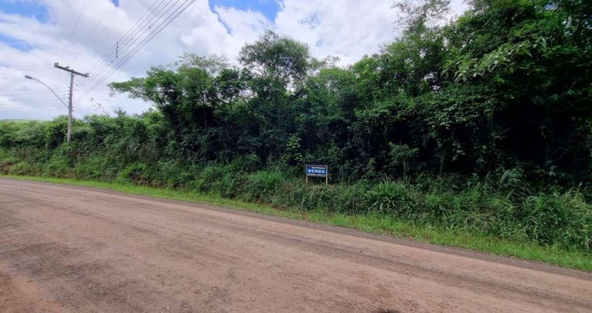 Área de Terras - Morro do Pedro - Presidente Lucena