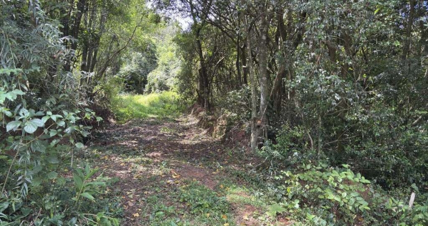 Área de terras - Bairro Floresta - Estância Velha