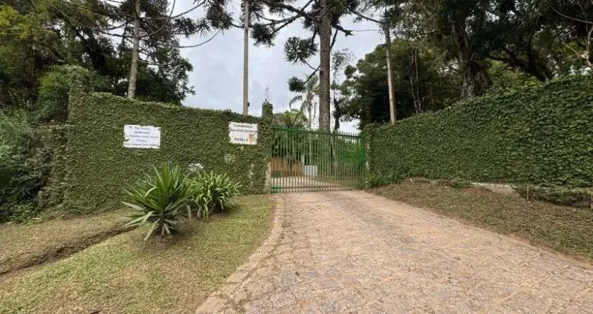 Chácara / sítio à venda na Colônia Murici, São José dos Pinhais 