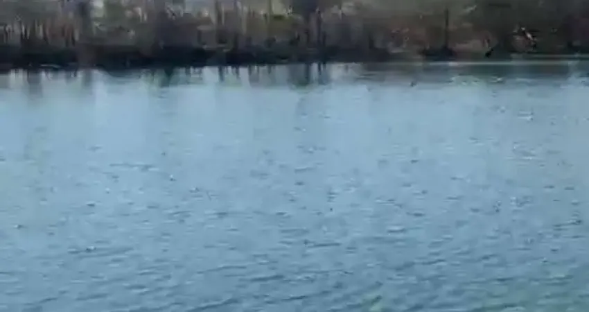 Chácara / sítio com 2 quartos à venda na Bernardo sayão, Setor Central, Campo Alegre de Goiás