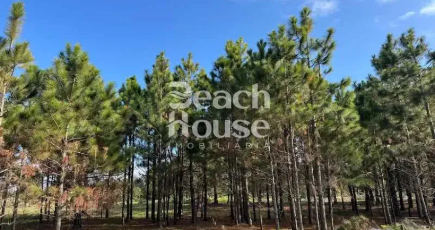 Terreno à venda no Tramandaí Sul, Tramandaí 