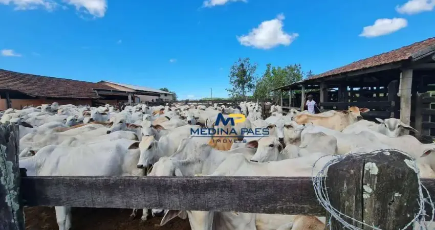 Fazenda à venda, 1258400 m² por R$ 9.600.000,00 - Fazendinha - Araruama/RJ