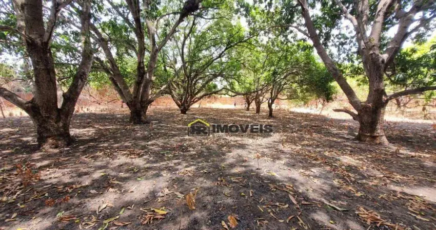 Terreno comercial à venda na Avenida Professor Camilo Filho, 9780, Jardim Europa, Teresina