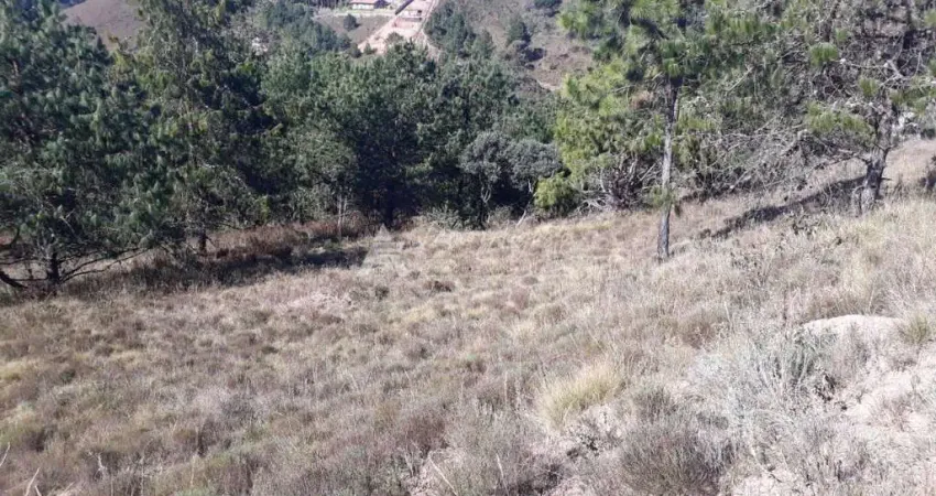 Belo terreno de 2.000 m2 em campos do jordão - belo terreno de 2.000 m2 em campos do jordão