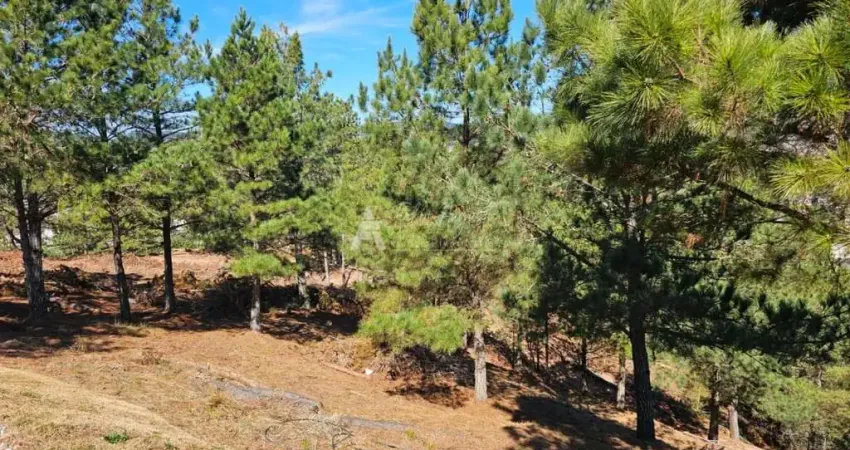 Terreno em loteamento fechado - terreno em loteamento fechado – campos do jordão