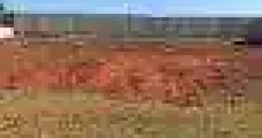 Terreno plano no Cond Vivendas da Mata