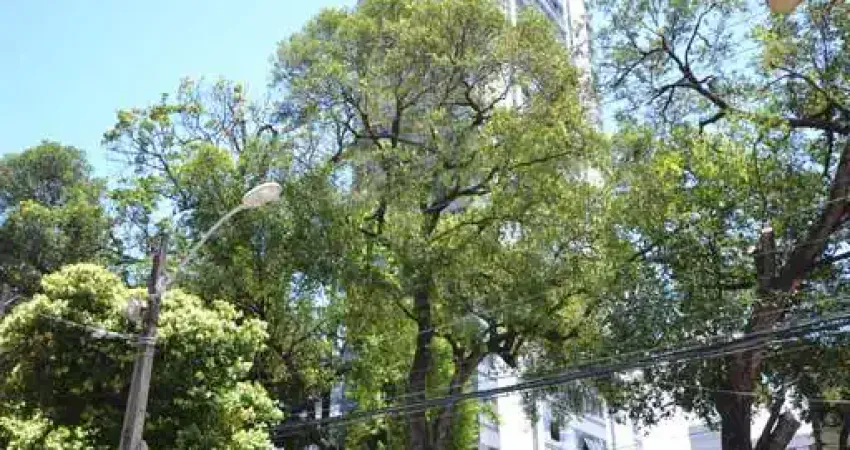 Apartamento 3 quartos, 1 vaga, 130m2 bairro paissandu - ilha leite  -  recife