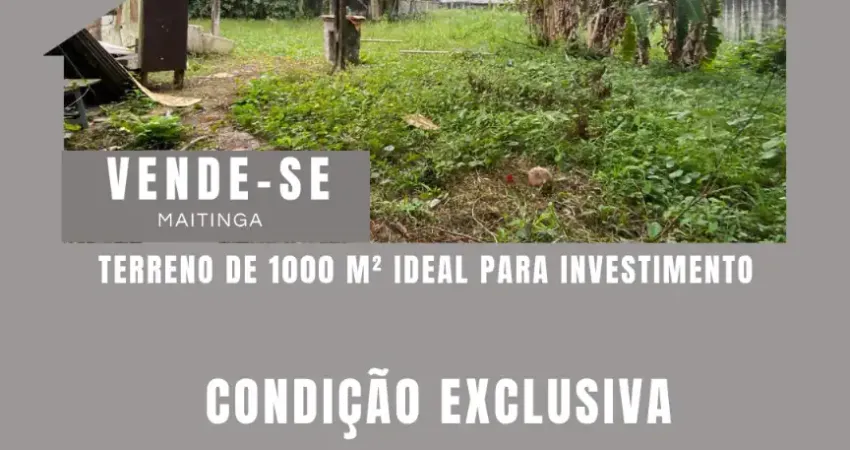 Terreno amplo em maitinga – 1.000 m² a 900m da praia! oportunidade rara em bertioga