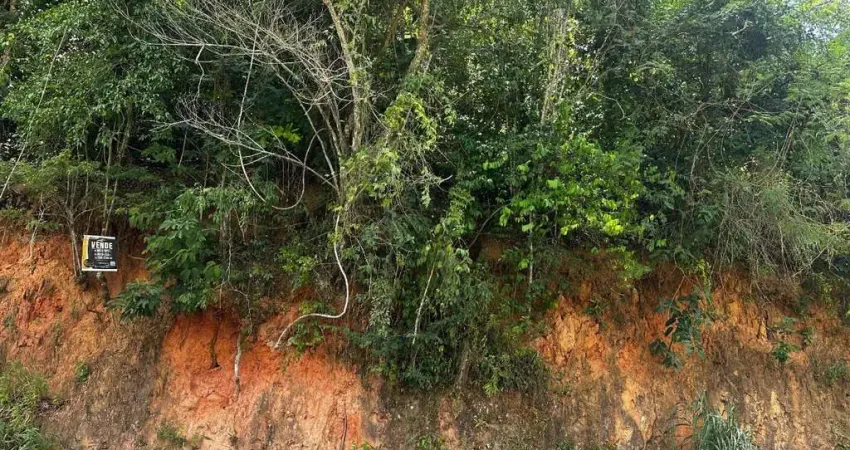 Vendo terreno no bairro barão de javary em miguel pereira - rj