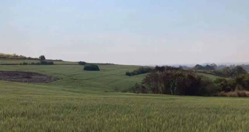 Terreno comercial à venda na Rua Antônio Sabino, Parque Industrial, Ibiporã