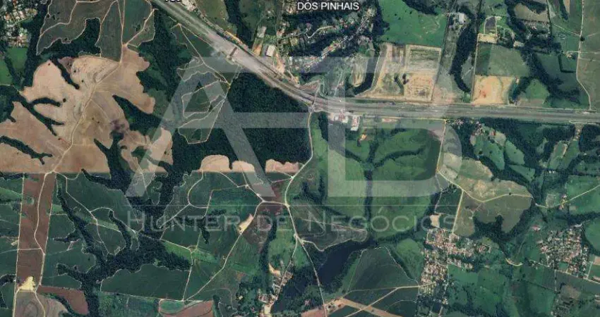 Área para loteamento para venda em boituva, residencial pinhal