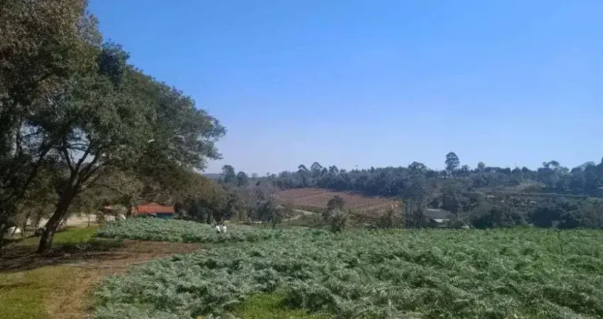 São roque; oportunidade de fonte de renda ou lazer; 5.000m2 - venha fazer parte do roteiro do vinho;