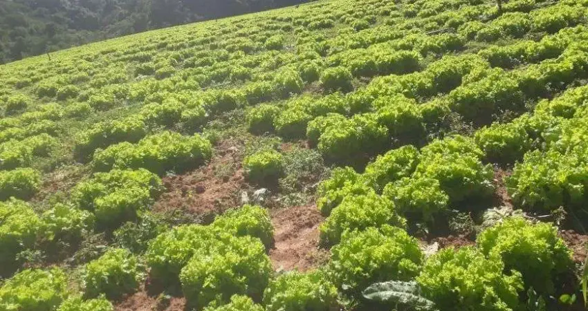 Ibiúna; linda área rural; com grandes possibilidades olha só: 61.000m2 ;área totalmente aproveitável