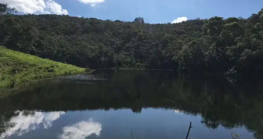 Ibiúna; sitio 07 alqueires; ou seja; 169.400,00m2, fartura de água 07 lagos c/nascentes minas d'água
