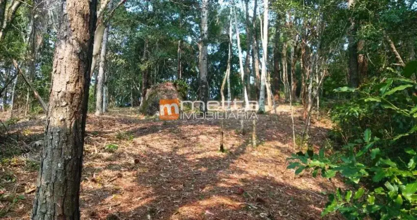 Terreno à venda na Rodovia Haroldo Soares Glavan, 240, Cacupé, Florianópolis