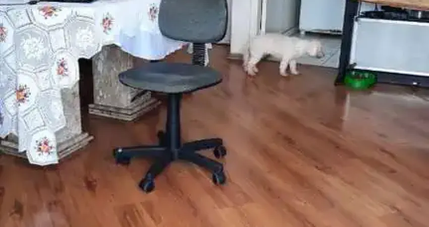 Apartamento com 2 quartos à venda na Vila Santa Catarina, São Paulo 